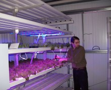 I will provide consultation on advanced hydroponics and LED lighting, and other gardening issues.