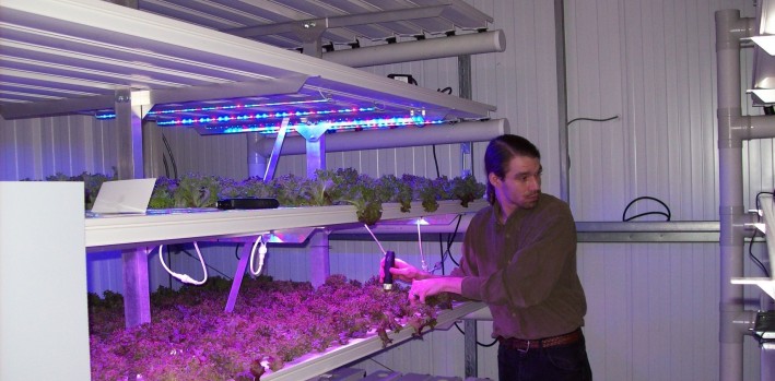 I will provide consultation on advanced hydroponics and LED lighting, and other gardening issues.