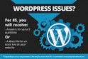 I Will Fix WordPress Errors, Or Perform Any WordPress Task