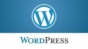 I will design and build your website in WordPress.