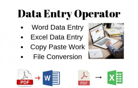 I can do Copy paste work or data operator work