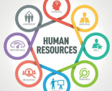 Human Resources and Talent Acquisition services for additional support to in house function or completely outsourced HR. I create recruitment strategies, company culture strategies, recruiting for hard to fill positions, Policy and SOP’s from scratch and Handbook creation.